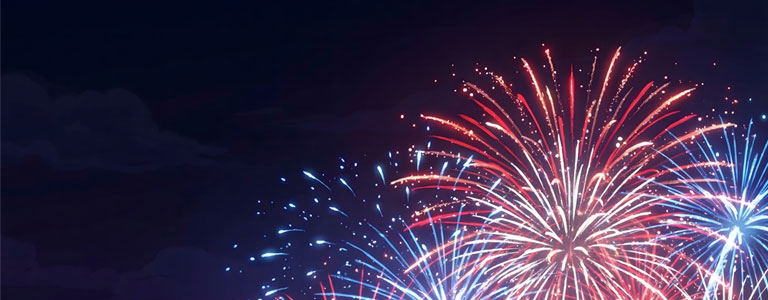 4th of July Fireworks in the night sky